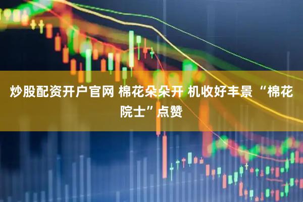 炒股配资开户官网 棉花朵朵开 机收好丰景 “棉花院士”点赞