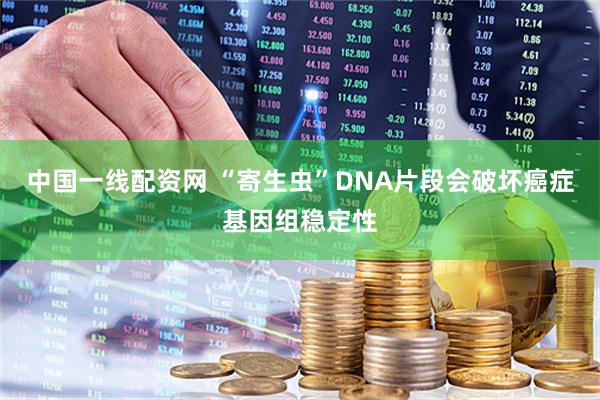 中国一线配资网 “寄生虫”DNA片段会破坏癌症基因组稳定性