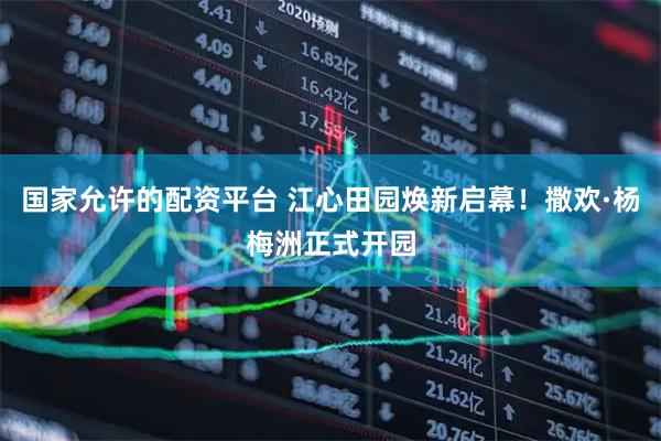国家允许的配资平台 江心田园焕新启幕！撒欢·杨梅洲正式开园